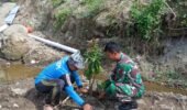 Hijaukan Lereng Sungai, Babinsa Mliwis Bersama Warga Tanam Pohon Demi Cegah Banjir dan Longsor