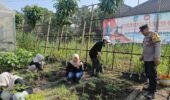 Pekarangan Warga Jadi Penopang Ketahanan Pangan di Plosoklaten