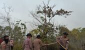 Penanganan Karhutla Hari Keenam, Brimob Kembali Turun Di Biak