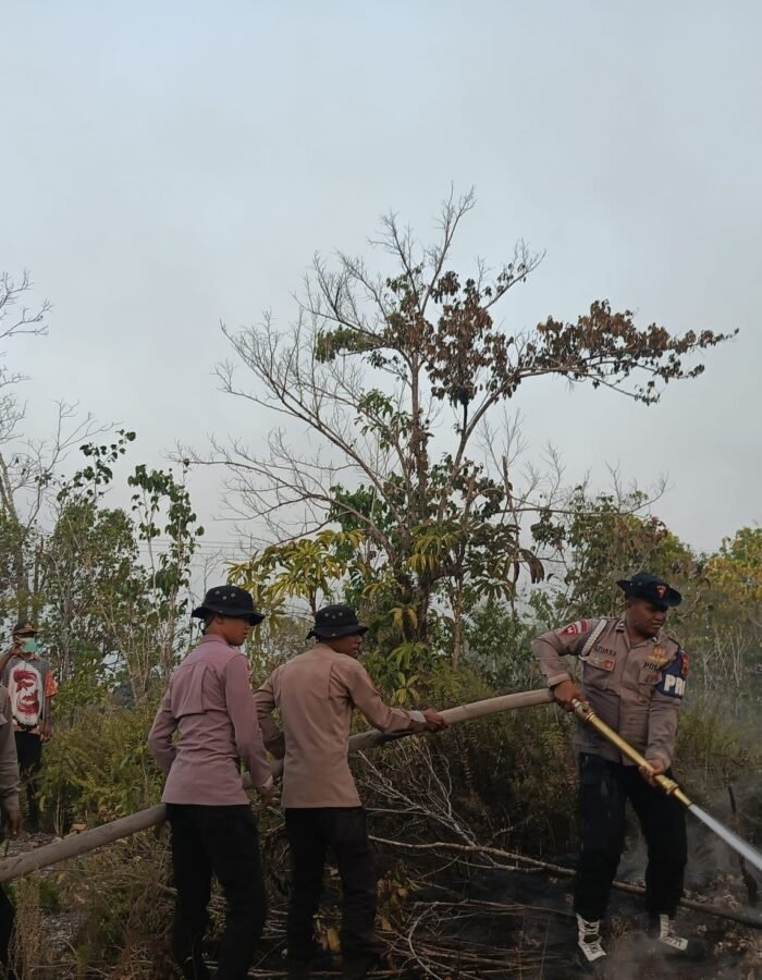 Penanganan Karhutla Hari Keenam, Brimob Kembali Turun Di Biak