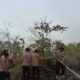 Penanganan Karhutla Hari Keenam, Brimob Kembali Turun Di Biak