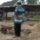 Proyek Briket Saluran Irigasi P3A Pekon Blitarejo Diduga Gunakan Material Di Bawah Standar