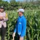 Sambang Lahan Pertanian, Bhabinkamtibmas Grogol Berikan Edukasi kepada Petani Jagung