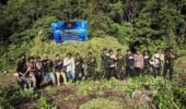 JELANG HUT KE-81 RI, BNN JAGA BANGSA DARI NARKOTIKA DENGAN MEMUSNAHKAN 12 HEKTARE LAHAN GANJA