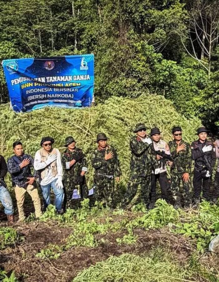JELANG HUT KE-81 RI, BNN JAGA BANGSA DARI NARKOTIKA DENGAN MEMUSNAHKAN 12 HEKTARE LAHAN GANJA