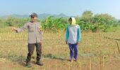 Bhabinkamtibmas Pojok Aktif Dampingi Petani, Dukung Ketahanan Pangan di Kota Kediri