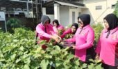 Panen Pekarangan Pangan Bergizi, Polisi Kediri Dorong Lahan Jadi Sumber Pangan