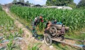 Sinergi TNI Dan Petani Babinsa Purwokerto Pastikan Pasokan Air Lahan Jagung Dusun Tumpuk Optimal