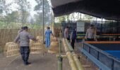 Polsek Kandat Gerak Cepat Gerebek Dugaan Perjudian Sabung Ayam