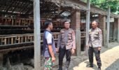 Jaga Produksi Telur, Polsek Kandat Bina Peternak Dukung Ketahanan Pangan