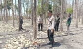 Sinergi Cegah Karhutla, Polres Bojonegoro Sisir Kawasan Rawan di Kedungadem