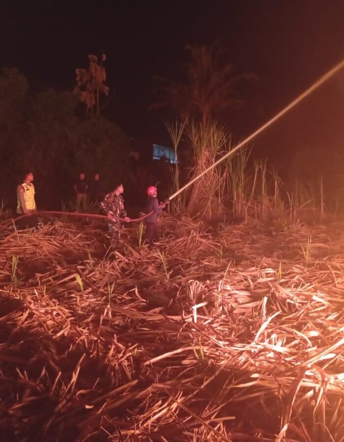 Api Mengamuk di Lahan Tebu Andong, Babinsa dan Damkar Bergerak Cepat Cegah Kebakaran Meluas
