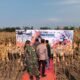 Panen Jagung Bantuan Pemerintah di Sambisirah Kenalkan Modernisasi Pertanian