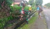 Wujud Kepedulian Lingkungan, Babinsa Koramil Udanawu Bersama Warga Gelar Karya Bakti Saluran Irigasi