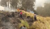 Polres Probolinggo Terjunkan Personel dan Armada Modifikasi untuk Padamkan Karhutla di Blok Pengol Bromo