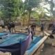 Respons Cepat Aduan Warga, Polres Nganjuk Bongkar Dua Lokasi Sabung Ayam