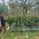 Bhabinkamtibmas Polsek Nongkojajar Pantau Tanaman Cabai, Dorong Masyarakat Perkuat Ketahanan Pangan