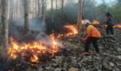 Cepat Tanggap, Babinsa Koramil Sutojayan Bersama Tim Gabungan Berhasil Padamkan Karhutla 2 Hektar Di Blitar