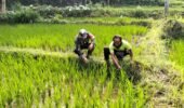Wujudkan Ketahanan Pangan, Babinsa Kedungbanteng Dampingi Petani Merawat Sawah Warga