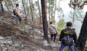 Tembus Ketinggian 1.800 MDPL, Tim Gabungan Polres Blitar Jinakkan Api di Gunung Buthak