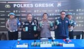 Polres Gresik Sita 10,8 Kg Ganja di Gudang Ekspedisi