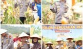 PANEN RAYA JAGUNG PIPIL, POLDA KEPRI PERKUAT KETAHANAN PANGAN BERSAMA KELOMPOK TANI