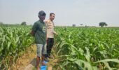 Dukung Ketahanan Pangan, Polsek Kunjang Ikut Kawal Hasil Panen Jagung