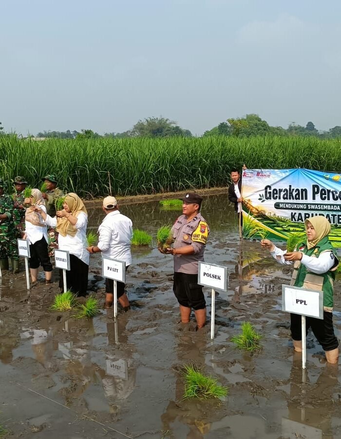 Percepat Tanam Padi, Polres Kediri Dukung Ketahanan Pangan dari Tingkat Desa