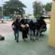 Densus 88 Tangkap 11 Tersangka Terorisme, Ada Temuan Latihan Tembak