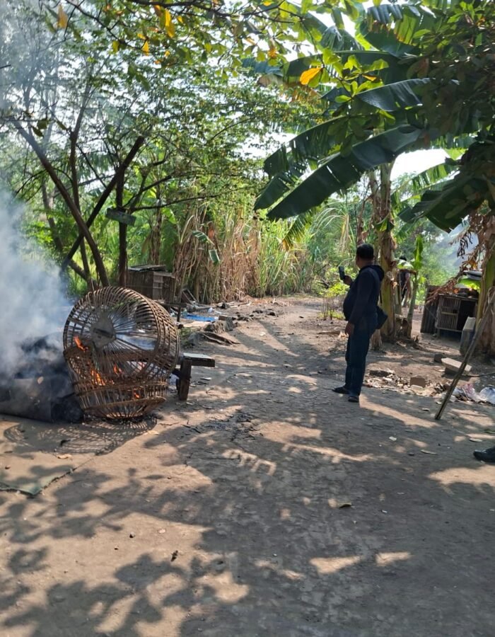 Polsek Waru Bongkar Arena Sabung Ayam di Bungurasih Utara