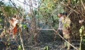 Akses Sempit Tak Halangi Petugas dan Warga Padamkan Kebakaran Lahan di Sidomulyo