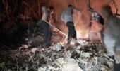 Gerak Cepat Jajaran Polres Ponorogo dan Tim Gabungan Berhasil Kendalikan Karhutla di Pohgading
